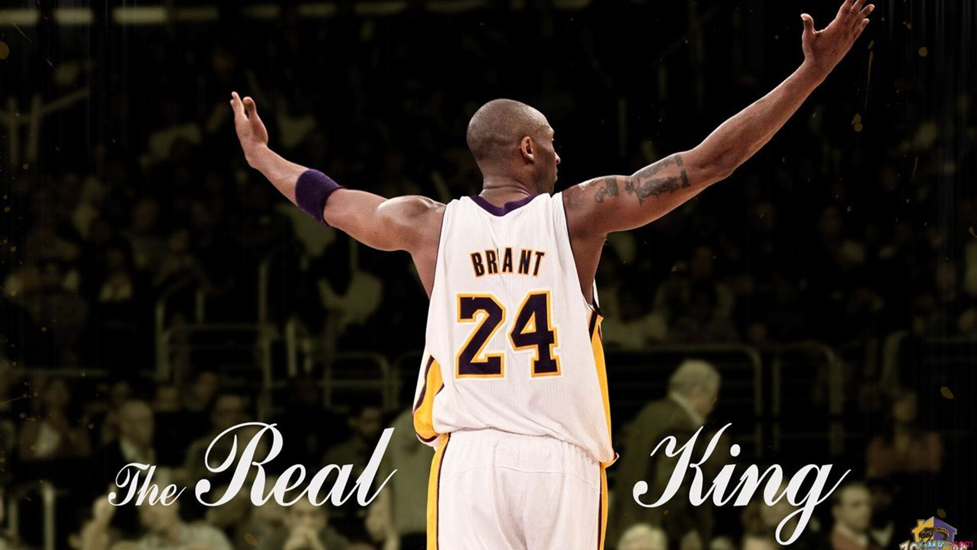 体育短视频内容创作呈现爆发式增长态势，体育运动短视频