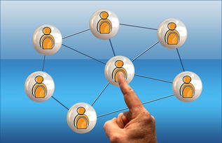 俱乐部社会责任报告披露 多项公益项目实施中，俱乐部公共物品有哪些